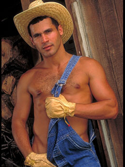 Dan Brewer Todd Gibbs