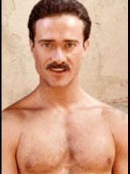 Steve Collins