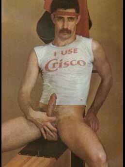 Bosch Wagner