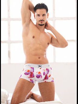 Fabio Stallion