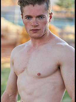 Zander