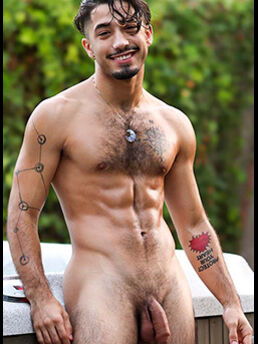 Troy Banderas
