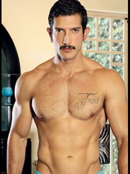 Sir Armas