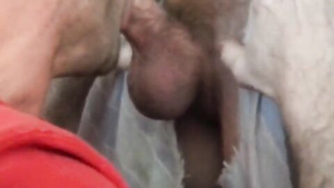 Glory Hole Suck and Fuck with a Big Cock