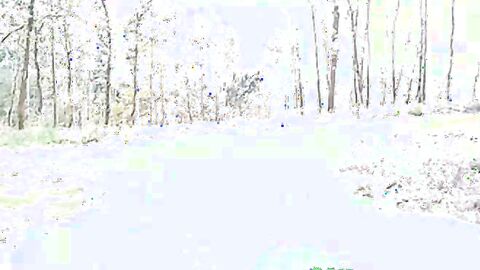 Portuguese Bear Strips and Shows His Big Cock