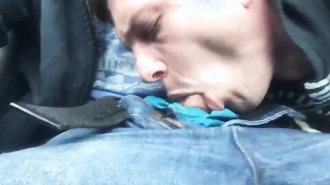 Outdoor Blowjob and Swallow with a Handsome Stranger