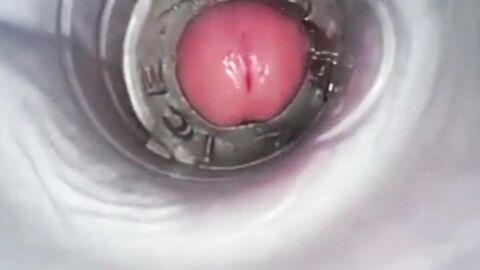Amateur Big Cock Handjob Masturbation