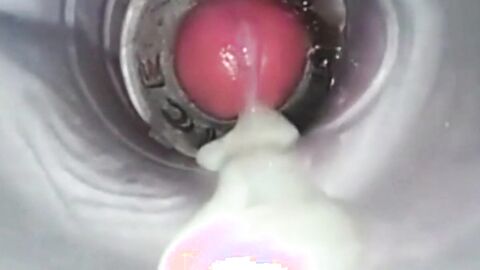Amateur Big Cock Handjob Masturbation