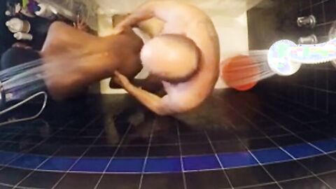 Daddy's Interracial Bareback Shower Fuck
