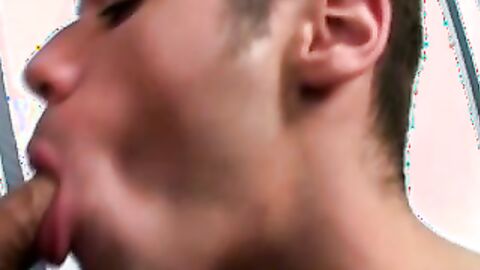 Young men giving each other amateur blowjobs in sixty nine