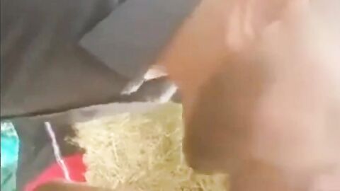 Gangbang Blowjob in the Parking Lot Calle