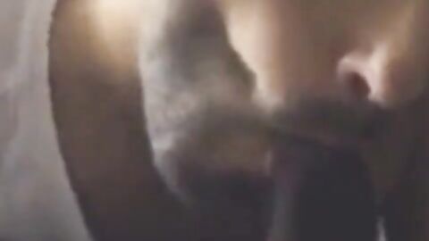 Indian Amateur Sucks a Big Black Cock