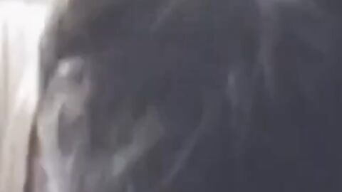 Indian Amateur Sucks a Big Black Cock