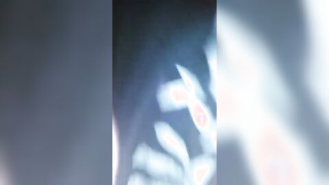 Hunk Latin Amateur Blowjob