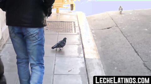 LecheLatinos.com - Handsome Latino takes a raw cock in his ass before getting paid