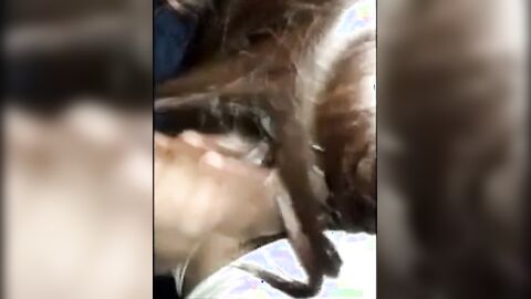 Big Black Cock Blowjob in Car by Crossdresser Amateur