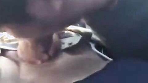 Gay Car Blowjob Amateur Video