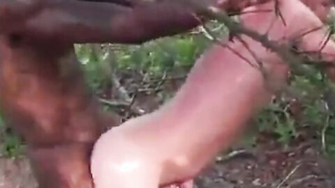Big Black Cock Breeds White Hole Outdoors