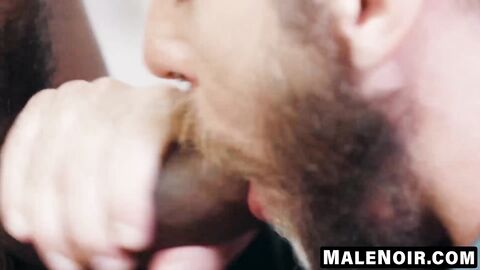 MaleNoir.com - Ziggy Banks and Marquee's blowjobs and ass worship