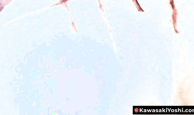 KawasakiYoshi.com - Yoshi Kawasakis sex drive is out of control as he