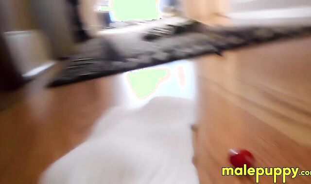 You slowly move through the house to see the giant Jeff Drizzle relaxing