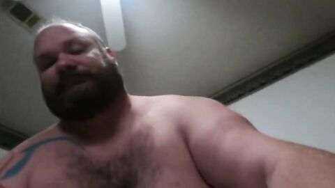 Fat Daddy Bear Takes it Like a Pro