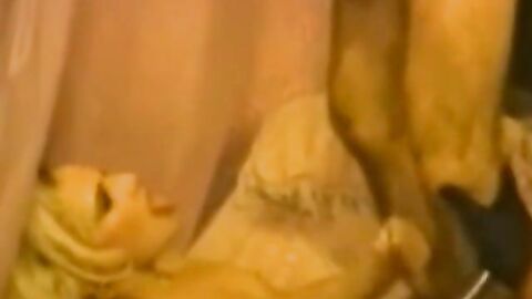Rough Bareback Anal with Blonde Twink Crossdresser