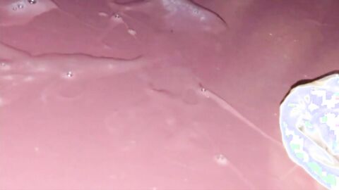 Glory Hole Big-Cock Blowjob: A Huge Load