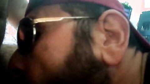 Rio de Janeiro Bull Sucking the Machos Off