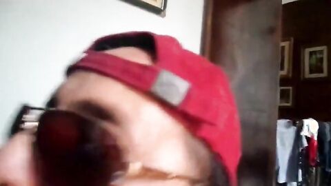 Rio de Janeiro Bull Sucking the Machos Off