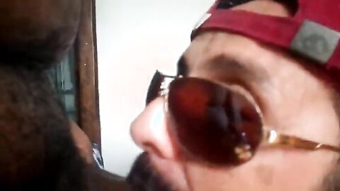 Rio de Janeiro Bull Sucking the Machos Off