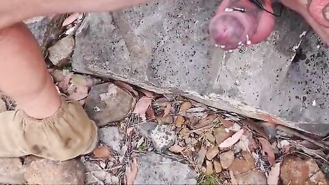 Older Outdoor Fun with E-Stim