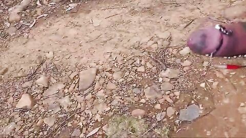 Older Outdoor Fun with E-Stim