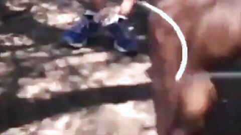 Daddy's Outdoor Adventure: A Park Tale