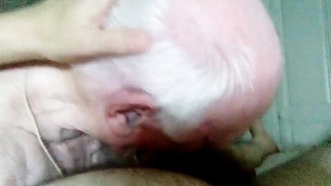 Grandpa Sucks Cock: Amateur Blowjob