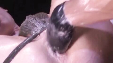 Marc and Bily then get on all fours, putting their asses in the hands of Lee, who wor