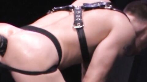 Quixote slips on a couple of black latex gloves, shines them up with creamy lube, and