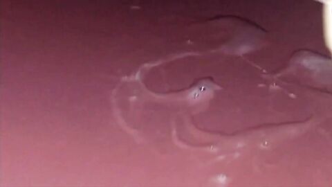 Glory Hole Big-Cock Blowjob: A Huge Load