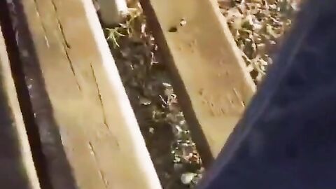 Str8 Big Cock Guy Stroking Outdoors on a Park Bench