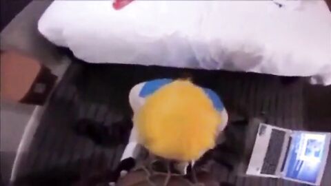 Sissy Beach Interracial Anal