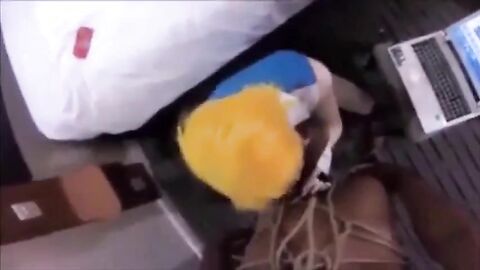 Sissy Beach Interracial Anal