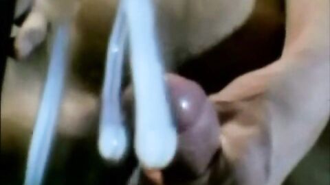 Huge Cocks Masturbation Compilation - Amateur Big Dicks