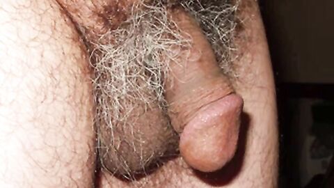 Mature Japanese Man's Small Penis Slideshow