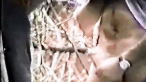 Outdoor Handjobs Caught on Cameras