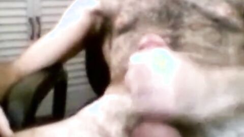 Hairy Daddy Bear Jacks Off on Cam