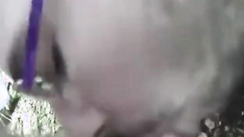 Bear Cub Blows a Load in His Mouth and Swallows