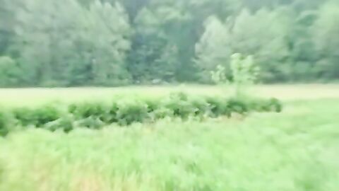 JoeSchmoeXXX.com - Solo cock wanking with tattooed stud jerking off his dick