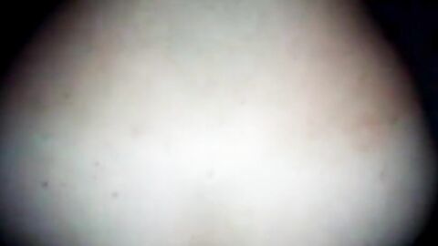 Bareback Daddy Bears: Amateur Argentino