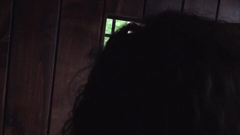 Brett Baker welcomes his neighbor Jace to a hot fucking action