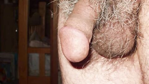 Mature Japanese Man's Small Penis Slideshow